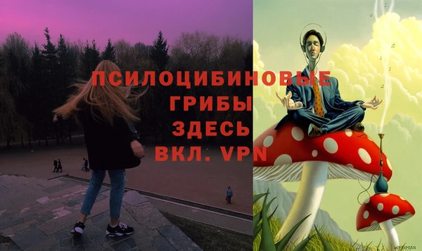 твердый Абдулино